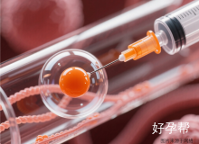 2025长沙试管婴儿私立医院排行榜及选择指南