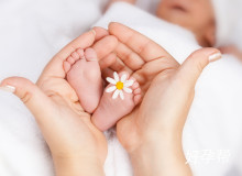 科学备孕指南：怎么才能生男孩的三大关键因素解析