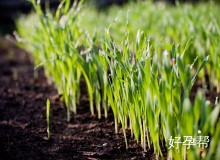 苏州做一次孕前检查多少钱？2025年各医院套餐价格必看指南