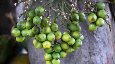 卵巢储备功能低下怎么调理怀孕？专家分享生活调理与助孕方案