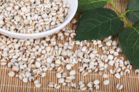 抓住秋季备孕好时机！全面了解注意事项，提升受孕率