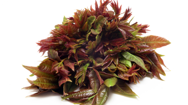 二胎备孕需要怎么调理身体？