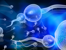 北京哪家医院调理弱精好？权威推荐北医三院、协和医院等专业医疗机构