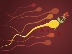 上海人工授精医院排名top5:哪家医院成功率最高?