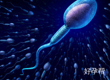 弱精症人工授精成功率解析:关键因素与提升方法