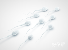 睾丸穿刺取精手术痛不疼？医生详解手术过程与真实痛感体验