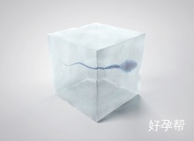 精子活力2.6能做试管二代吗？专家解析成功率及关键因素