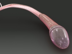 北京看弱精症最好的医院有哪些？北医三院、协和医院等权威推荐