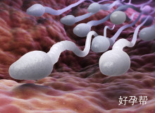 男性精子少如何科学调养？5大调理方法提升生育力