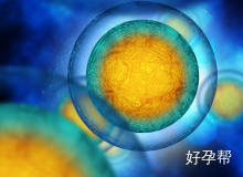 揭秘多囊卵巢综合征患者试管婴儿成功率低的深层原因与应对策略