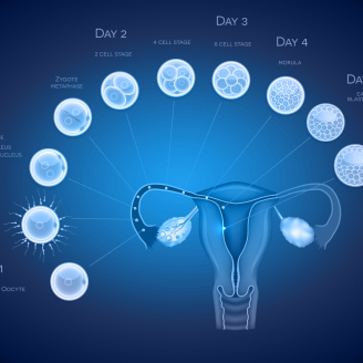 备孕五年终迎好孕!多囊卵巢患者的成功经验与调理方法全分享