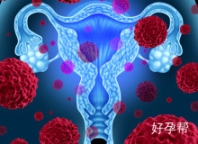 雌激素水平下降的全面症状与自然调理技巧