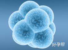 山东省济南市多囊姐妹必看：掌握这些日常护理方法，轻松调理内分泌与体重