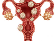 卵巢功能下降的5大原因及科学应对方法全解析