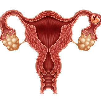 多囊患者备孕需要吃哪些药物？医生推荐5类必备促排卵用药