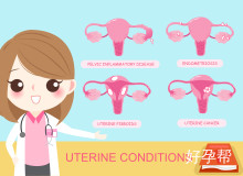 32岁amh值多少正常？一文带你了解不同年龄段amh正常范围