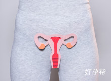 多囊卵巢综合症腹腔镜打孔手术：治疗原理与术后护理全解析