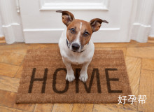 2025年腹腔镜手术费用详解：不同病症及地区价格差异