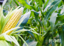 南京医科大学第二附属医院怎么样？2025年患者评价与专科排名解析