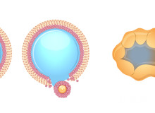 安徽省立医院和安医大一附院哪个好？一文解析两者差异与选择建议