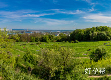 黄疸正常出院后必须做磁共振吗？医生详解关键指标与检查必要性