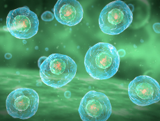 河南地区宫腔镜粘连手术费用多少钱？2026年最新价格解析与影响因素