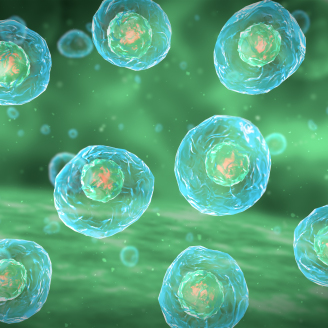 河南地区宫腔镜粘连手术费用多少钱？2026年最新价格解析与影响因素