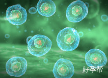 北京市婴幼儿医院综合实力排名大揭秘：2026年权威评测与家长必读