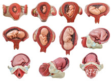宫腔镜手术空腹要求详解：术前禁食时间及注意事项