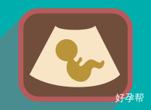 13周NT检查0.12是男孩女孩？科学解读NT值与胎儿性别关系