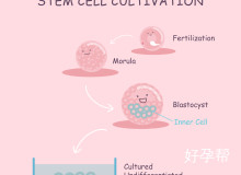 开平市保健医院梁惠芳医生简历曝光：中西医结合治皮肤病实力如何？