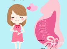 宫腔镜手术后月经恢复时间全解析：20天到半年影响因素