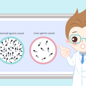NT检查选择指南：阴超VS腹部彩超，准妈妈必读