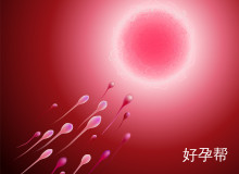 北京妇产医院生殖科专家推荐：杨晓葵、梁毓等名医成功率解析