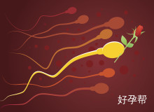 试管促排卵费用多少钱？2025年全面费用明细及影响因素分析