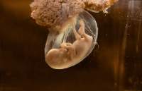 广东省广州市妇幼保健院做试管婴儿选择哪位医生好？多位专家助您圆梦