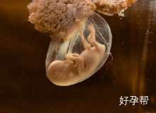 东莞第三代试管医院最新名单揭晓：这3家资质全，成功率领先！