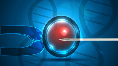 试管移植过程注意要点：从术前准备到术后护理的完整指南