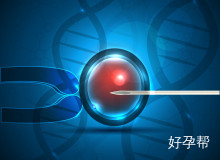 武汉大学人民医院试管移植费用解析：单次花费及全流程费用明细