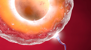 备孕多年艰辛历程：试管婴儿成功经验分享与心路历程