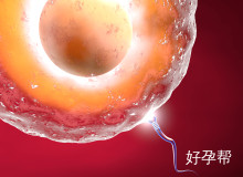 促排后多久可以取卵？医生详解时间安排及影响因素