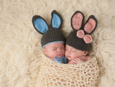 河北供卵试管婴儿全流程详解,从申请到验孕一步步教你