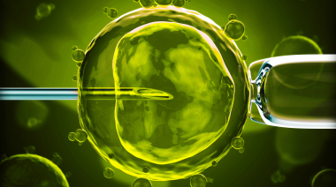 为什么选择试管婴儿治疗？探索其科学原理与家庭圆梦的有效途径