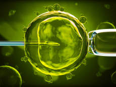 2025年河北试管婴儿报销政策具体内容是什么?