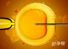 2025年正规试管医院排名经验分享