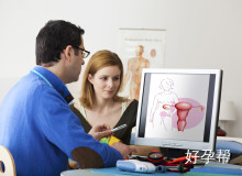 二级胚胎养囊成功率解析：40%-60%的关键因素与提高方法