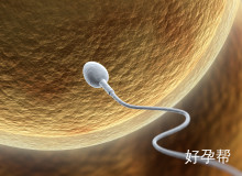 泰国EK医院试管三代成功率高吗？最新成功率数据揭秘