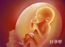 2025山东试管婴儿医保报销比例全解析：最高能省70%费用