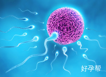 长沙二代试管婴儿成功率高吗？中信湘雅与市妇幼数据对比分析