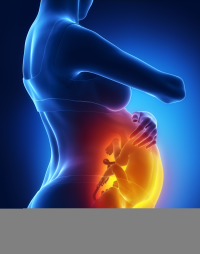 河北省保定市妇幼保健院与河北大学附属医院试管婴儿预约挂号全攻略